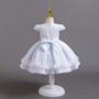 Girls airplane sleeve lace princess dress flower dress