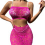 Sexy See-Through Strapless Slim Mesh two piece Skirt set