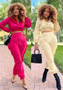 Trendy Women's  Solid Color Zipper Ruffle Fashion Casual Sports Two Piece Pants Set
