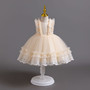 Girls children's dress lace tutu princess dress