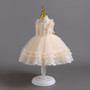 Girls children's dress lace tutu princess dress