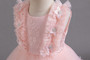 Girls children's dress lace tutu princess dress