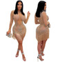 Women Mesh Round Neck Long Sleeve Rhinestone Fringe Dress ATL