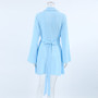 Summer Autumn Solid Color Long-Sleeved Elegant Dress For Women