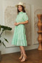 Davi & Dani Checkered Puff Sleeve Tiered Shirt Dress