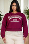 Plus Size Graphic Drop Shoulder Sweatshirt