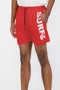 WEIV Men's Full Size Letter Graphic Drawstring Swim Shorts Plus Size