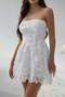 Solid Lace Up Lace Mini Fit Tube Dress