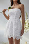 Solid Lace Up Lace Mini Fit Tube Dress