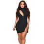 Women's Spring Summer Ribbed Sleeveless Zipper Slim Cutout Sexy Dress