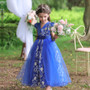 Children's dress princess dress big children's wedding dress girls long section mesh tutu dress