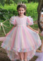 Girls Piano Performance Costume Birthday Dress Children's Puffy Dress Flower Girl Catwalk Trailing Wedding Dress