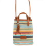 Striped Mini Crossbody Bag