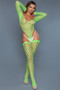 Alluring Fishnet