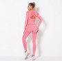 Seamless Long Sleeve Yoga Set​