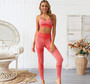 Seamless Activewear Two Piece Set