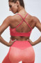 Seamless Activewear Two Piece Set