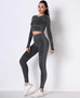 Seamless Long Sleeve Solid Yoga Set