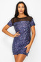 Sparkle Sequins & Mesh Cap Sleeve Mini Dress