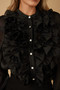 Ruffle Micro Crystal Long Sleeve Blouse​