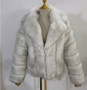 Fur coat women's autumn winter faux fur coat