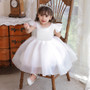 Summer Baby 1St Year Birthday Party Dress Flower Girl Wedding Baby Princess Dress Trendy Tulle Children'S Dress