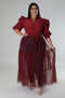 Plus Size Women Chiffon Puff Sleeve Mesh Patchwork Ruched Dress