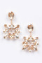 Multi Rhinestone Dangle Earring