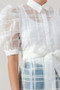 A See-Thru Mini Length Organza Top