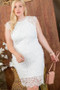 Lace Crochet Mini Raglan Dress With Zipper Back
