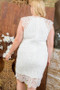 Lace Crochet Mini Raglan Dress With Zipper Back