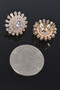 Flower Rhinestone Earrings 