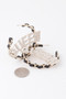 Queen Open Hoop Earrings