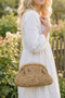 Fame Woven Raffia Frame Shoulder Bag