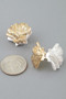 Luxury Clamshell Clasp Earrings