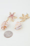 Bejeweled Starfish Shell Earrings