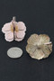 Multi Dimensional Blossom Earrings 
