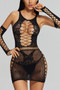 Lace Cut Out Sheer Mini Dress 