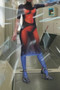 Mesh Body Print Dress 