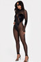 Long Sleeve Mock Neck Mesh Jumpsuit 