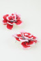 Blooming Twin Rose Earrings