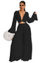 Women Fall Casual Pleated Bell Bottom Long Sleeve Tie Top + Wide Leg Pants Two Piece