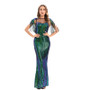 Fashion Sleeveless Sequin Long Dress Sexy Stretch Fringe Evening Dress