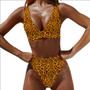 Customize Swimwear Women's Plus Size Bikini Two Pieces Swimwear