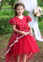 Girls trailing dress flower girl princess dress skirt lace tutu skirt