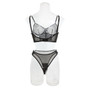 Women Fishbone Contrast Color Mesh Sexy See-Through Sexy Lingerie Two-piece Set