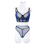 Women Fishbone Contrast Color Mesh Sexy See-Through Sexy Lingerie Two-piece Set