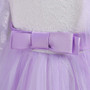 Girls dress lace lace wedding Mesh Skirt children's princess dress