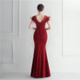 Mesh Beaded + Embellished Feather Star Red Carpet Long Evening Gown