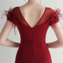 Mesh Beaded + Embellished Feather Star Red Carpet Long Evening Gown